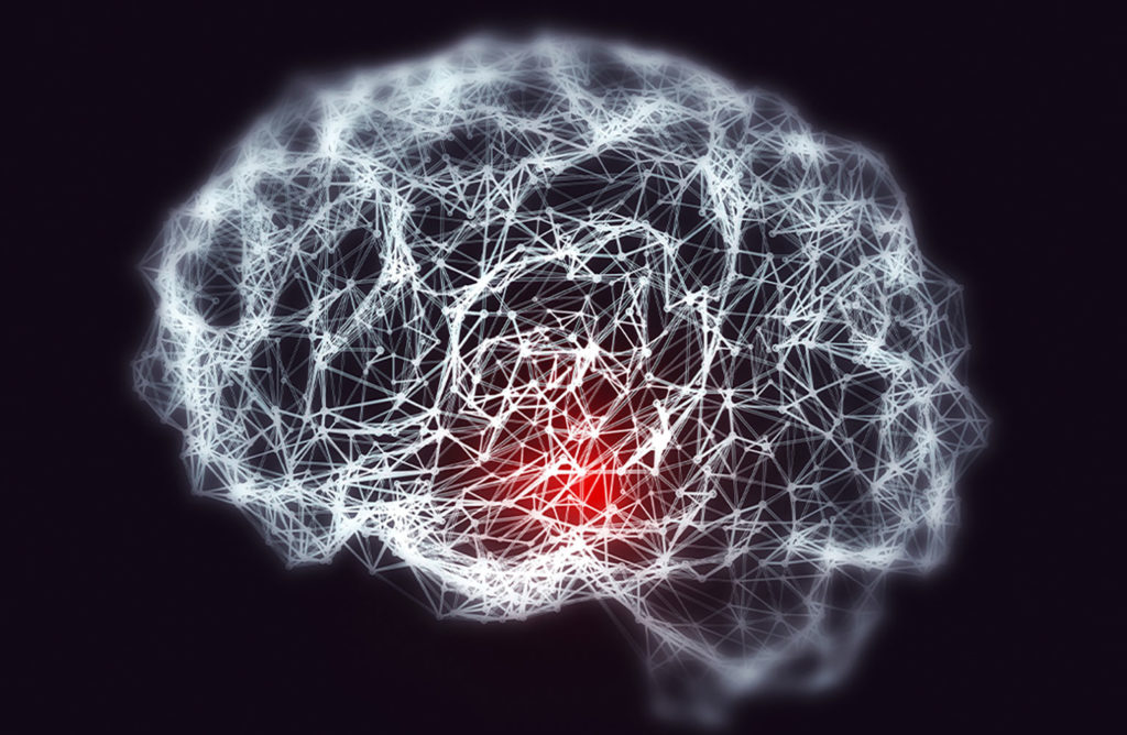 drawing of a brain