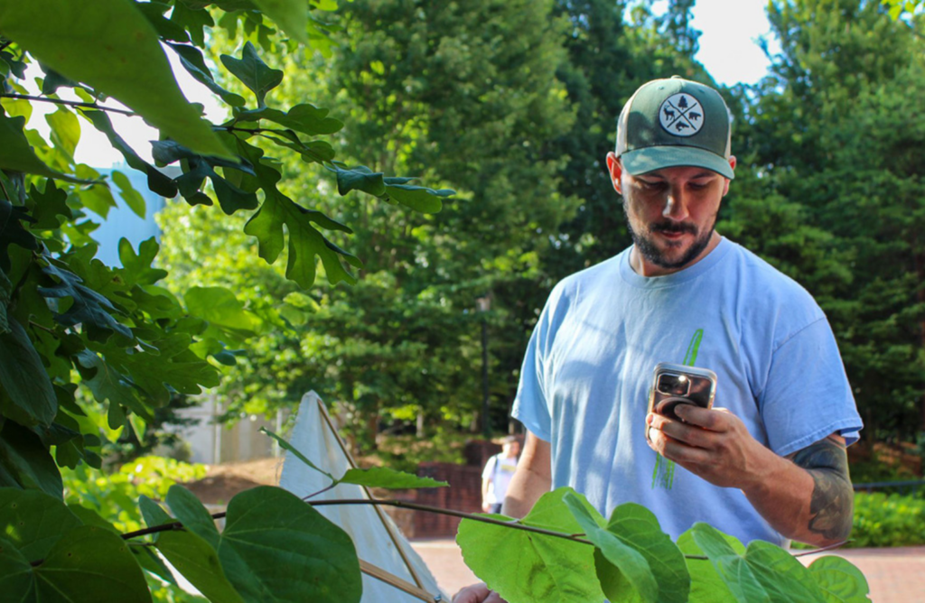 Alexander Smith records the insects he sees on foliage near Kenan Stadium as part of the avian and arthropod research conducted in the biology department’s Hurlbert laboratory.