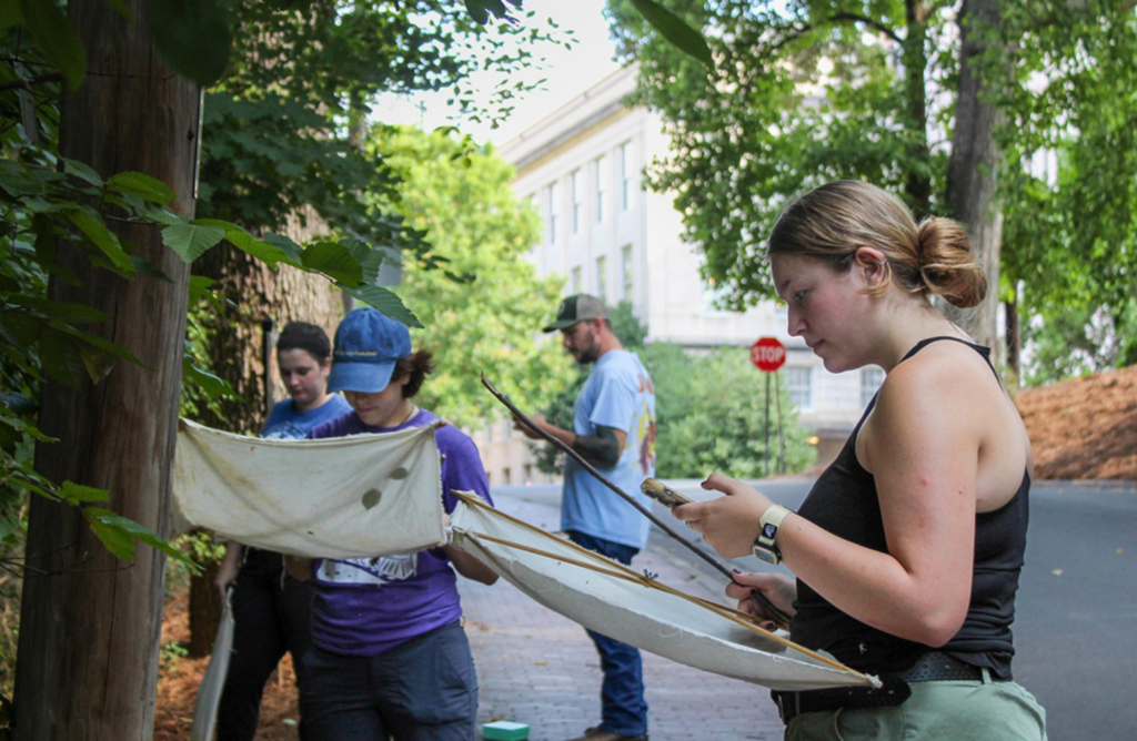 Students and researchers Grace Layman, Ivara Goulden, Isabella Nieri and Alexander Smith check for insects found on Carolina’s campus. The collaborative nature of the lab is one of Smith’s favorite aspects of research.