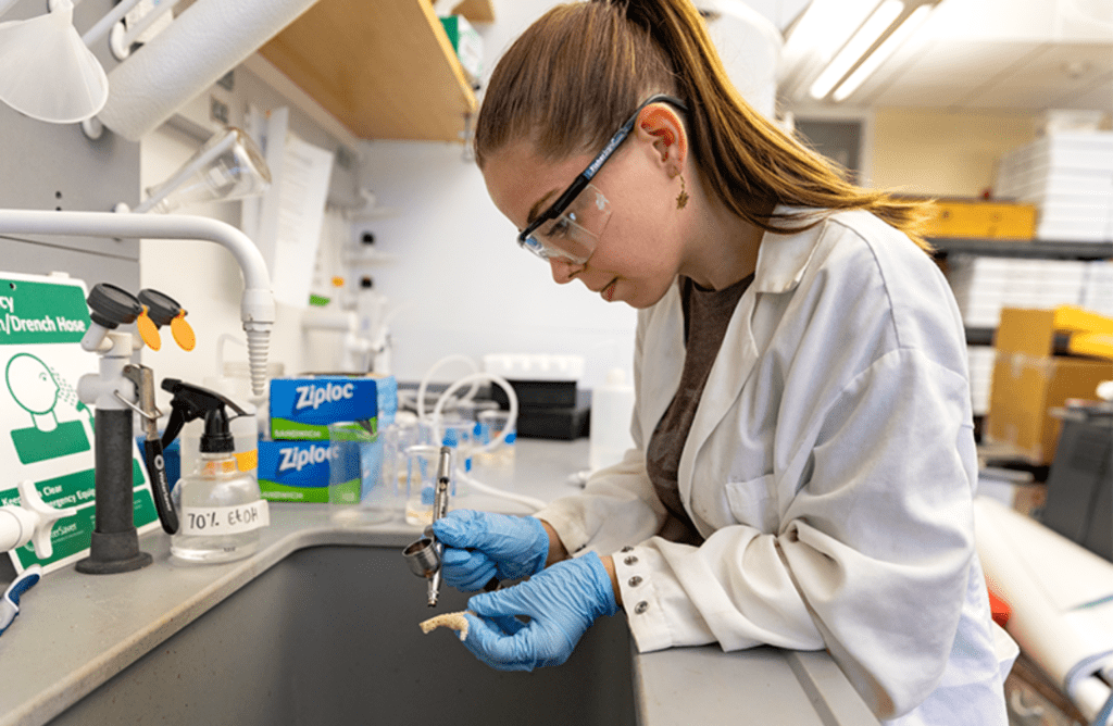 Senior Rachel Geyer works in the Castillo Lab at Murray Hall on July 11, 2024. 